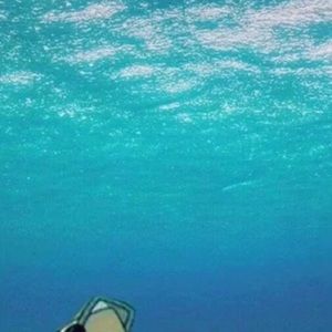 Meet your Posher, Teryn